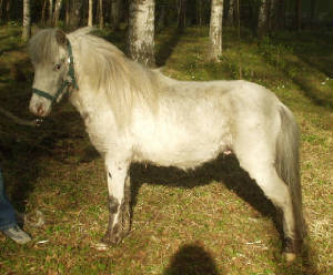 p1010015.jpg