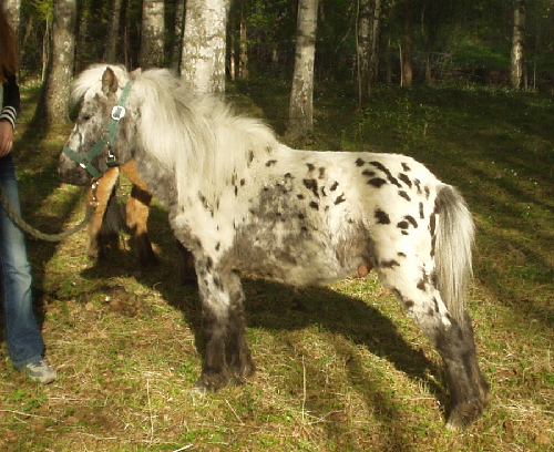 p101000b.jpg